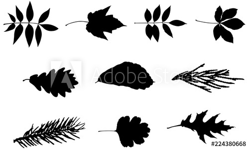 500x300 Leaf Cricut, Leaves Silhouette Clip Art, Foliage Vector