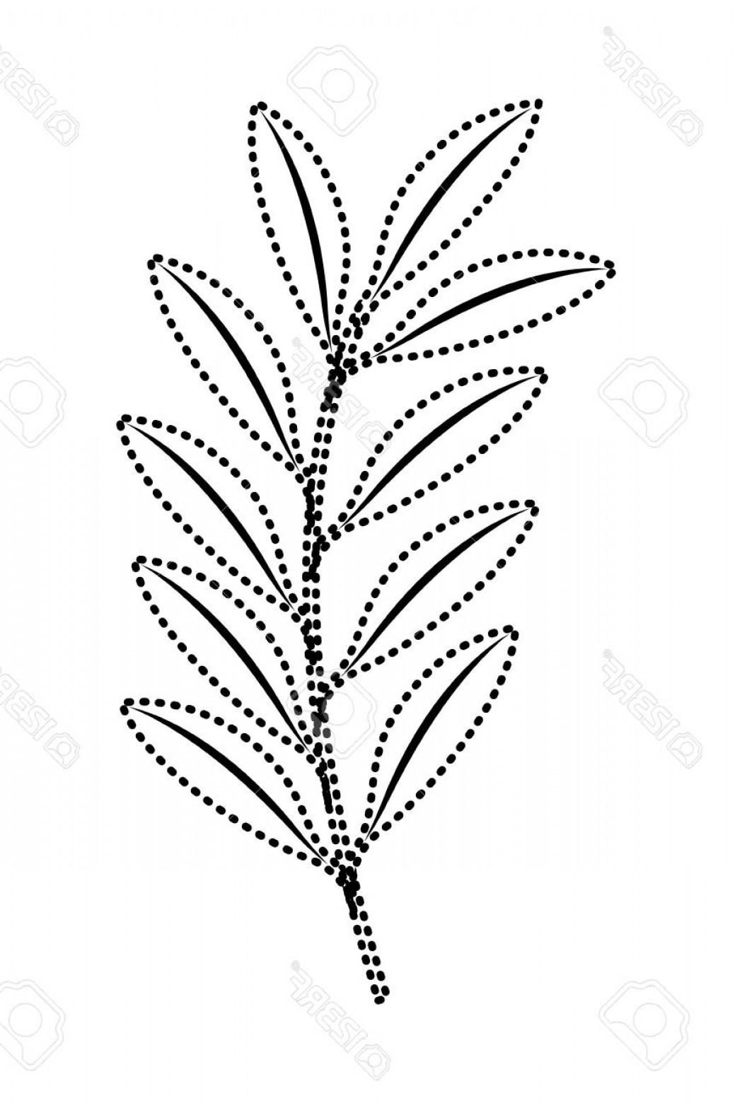 1039x1560 Photostock Vector Branch And Leaves Nature Foliage Vector