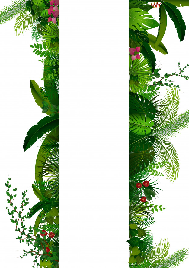 626x886 Tropical Foliage Vector Premium Download