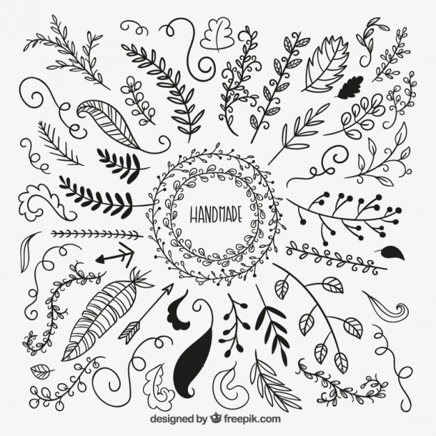 626x626 Foliage Sketch Vectors, Photos And Free Download