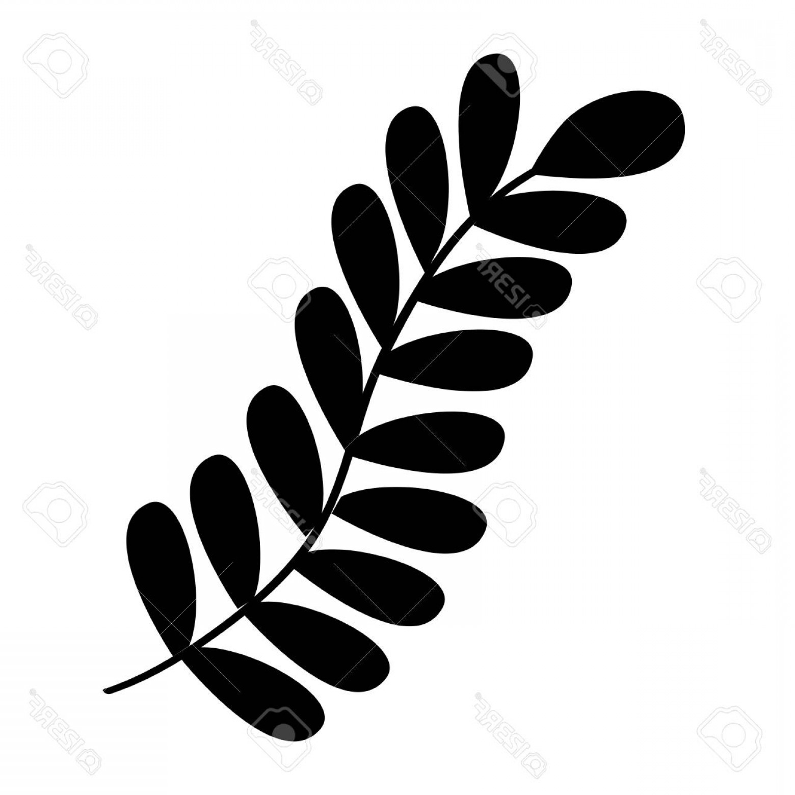 1560x1560 Foliage Vector Cqrecords