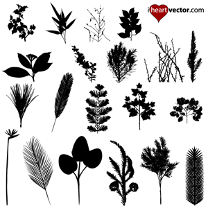 300x300 Foliage Vector Pack