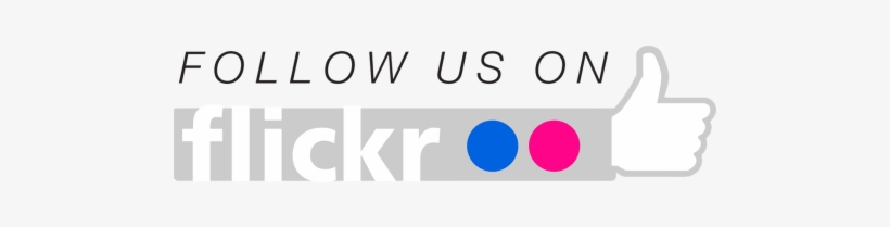 820x209 Vector Graphics