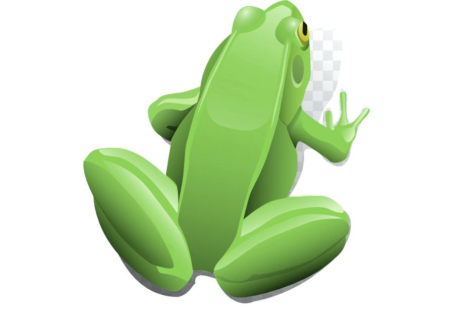 900x620 Food Chain In The Tropical Rain Forest Food Chain Food Web