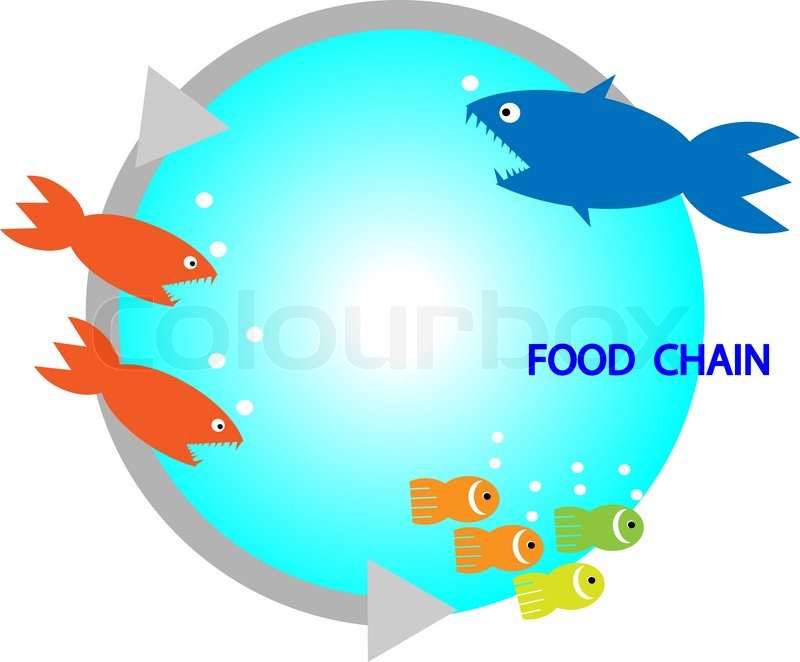 800x662 Food Chain, A Small Fish Is Food For Stock Vector Colourbox