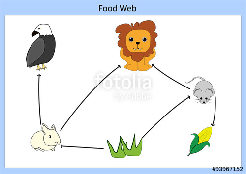 500x354 Food Chain Stock Image And Royalty Free Vector On Fotolia