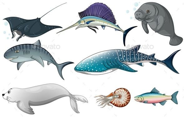 590x377 Yes, Transparent Png In Animals