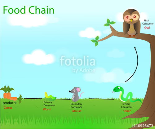 500x417 Food Chain Stock Image And Royalty Free Vector On Fotolia