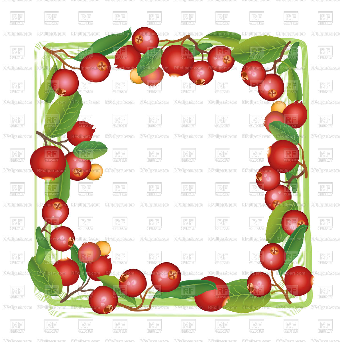 1200x1200 Cranberry Summer Frame Vector Image Of Food And Beverages