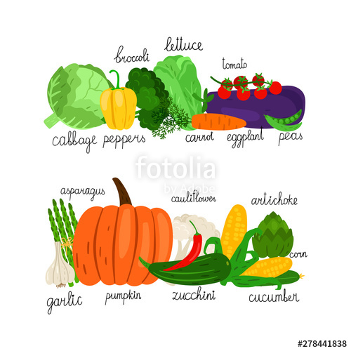 Food Market Vector