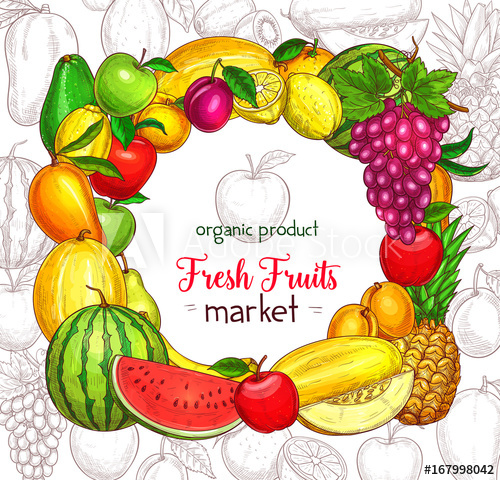 500x480 Fruit Frame Border For Organic Food Market Poster