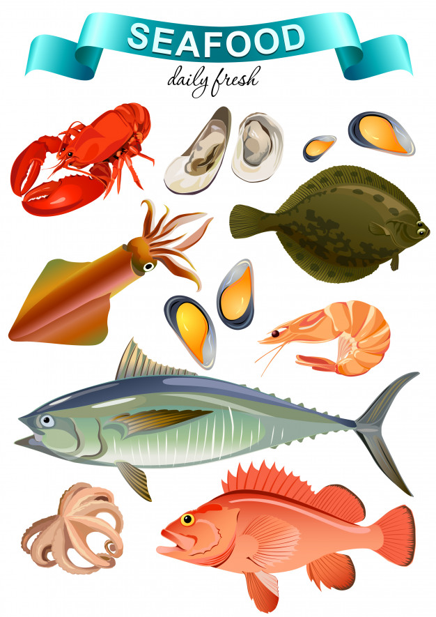 626x885 Colorful Seafood Collection For Food Market Advertising Products