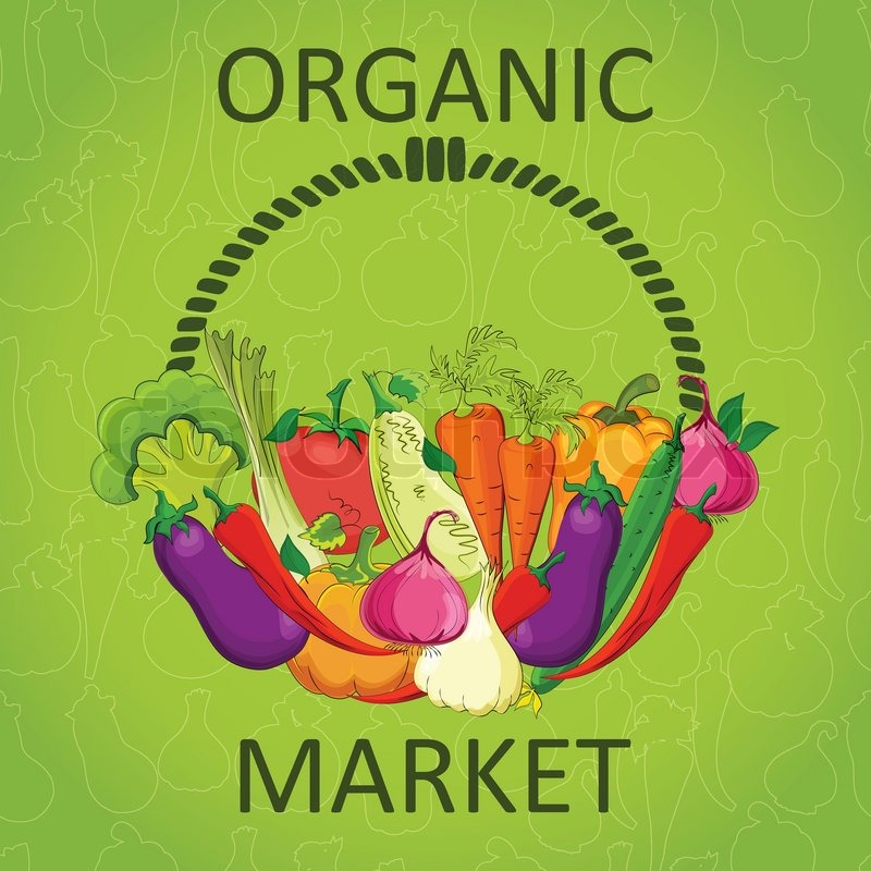 800x800 Organic Food Market Vector Stock Vector Colourbox