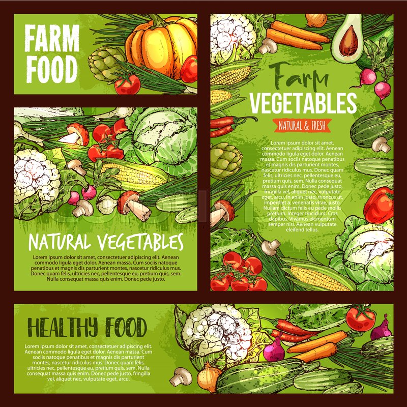 800x800 Vegetables And Fresh Organic Farm Food Stock Vector Colourbox