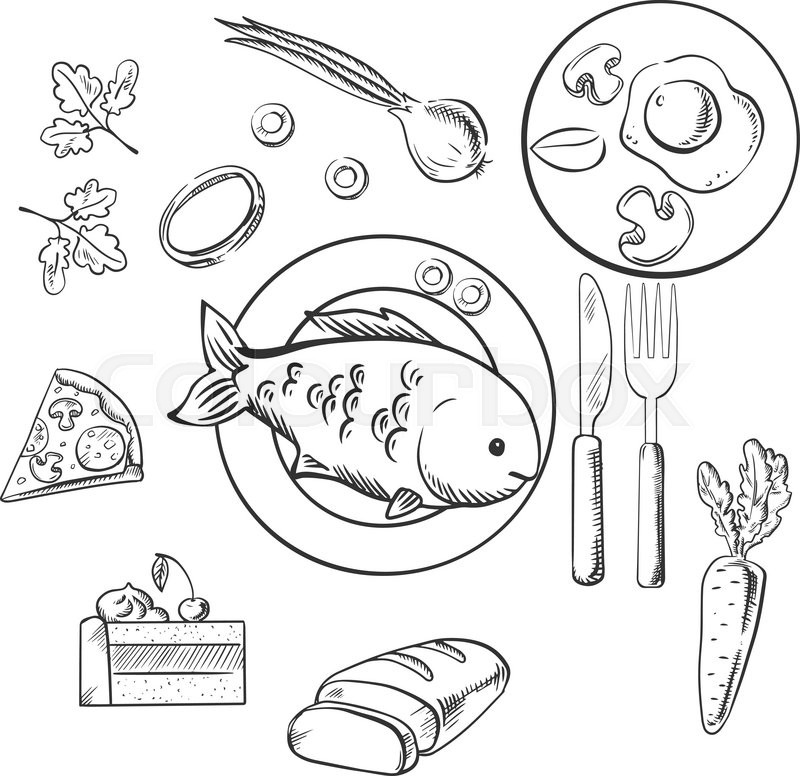 800x776 Fresh Dinner Food With Sketch Vector Stock Vector Colourbox
