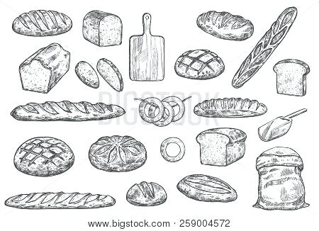 450x326 Bread Sketch