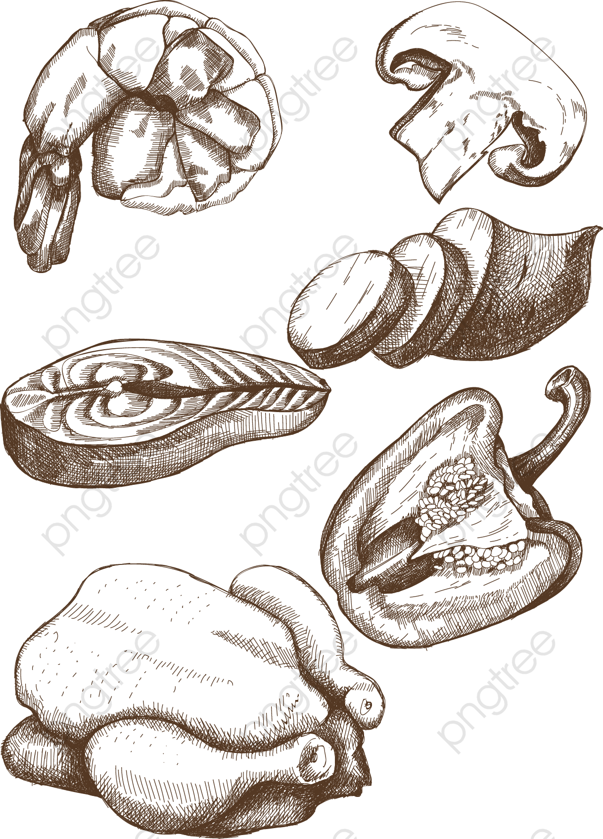 1219x1696 Food Sketch, Shrimp, Mushroom, Green Pepper Png And Vector