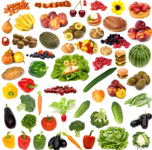 498x491 Different Health Food Vector Set Free Download