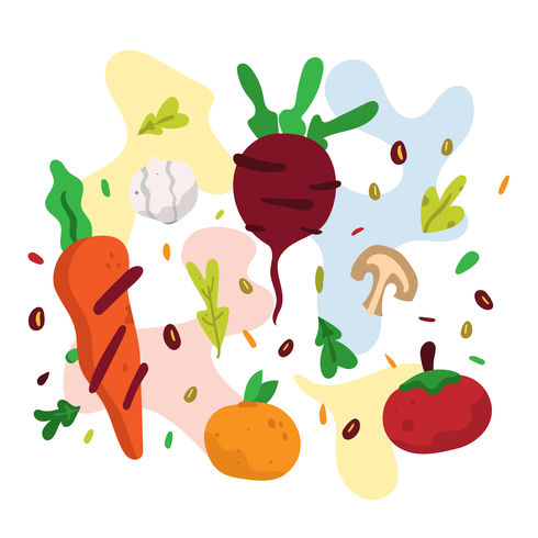 490x490 Healthy Food Vector