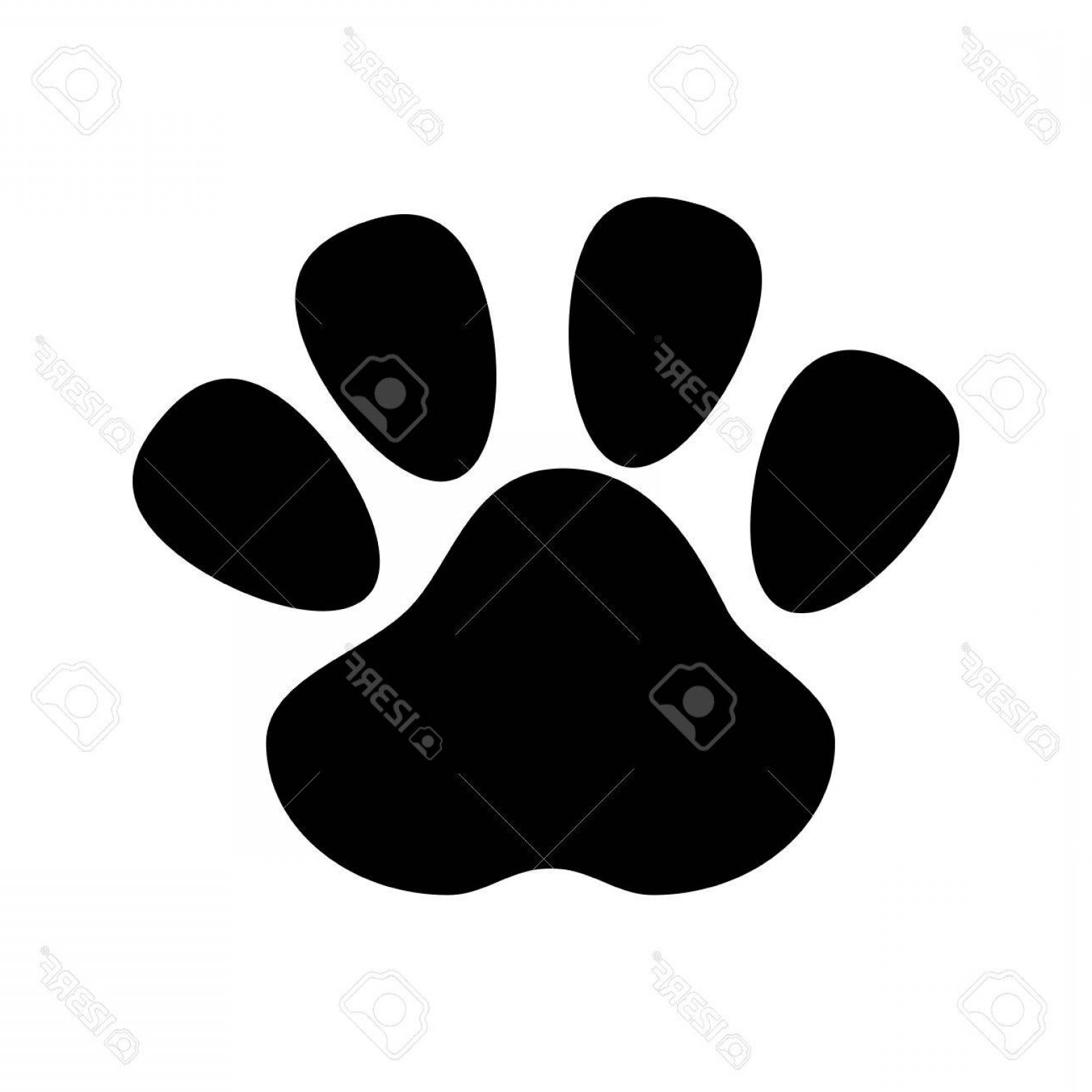 1560x1560 Photostock Vector Dog Foot Footprint Mark Pet Canine Silhouette