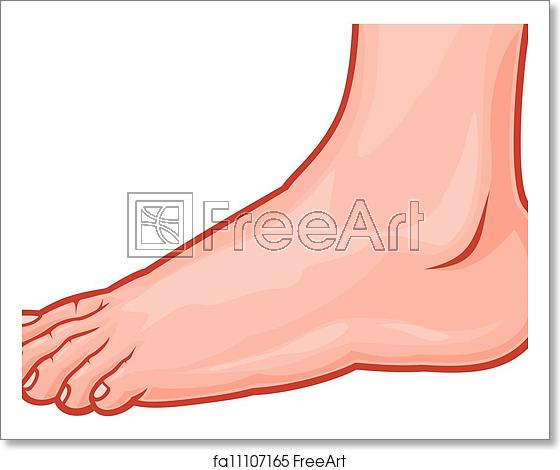 560x470 Free Art Print Of Foot Standing