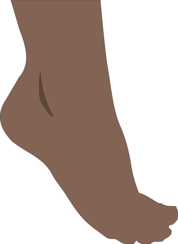 365x500 Human Foot Vector Image
