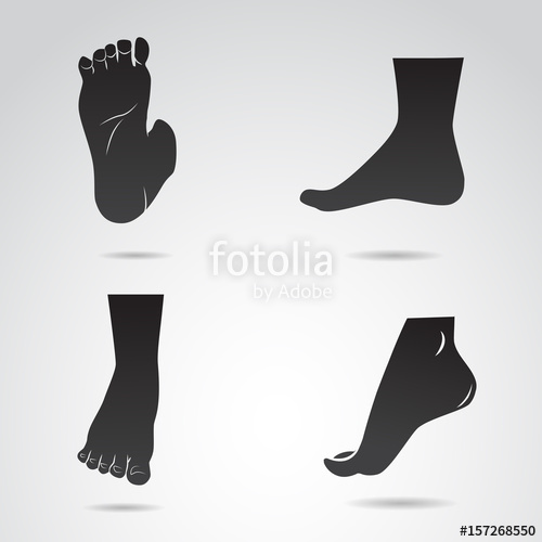 500x500 Human Leg, Foot Vector Icon Stock Image And Royalty Free Vector
