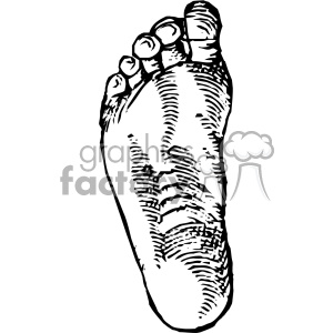 Cousin Jehan Vintage Bottom Of Foot Vector Anatomy Art Clipart 300x300 Cousin Jehan Vintage Bottom Of Foot Vector Anatomy Art Clipart