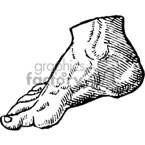 Cousin Jehan Vintage Right Foot Vector Anatomy Art Clipart 300x300 Cousin Jehan Vintage Right Foot Vector Anatomy Art Clipart