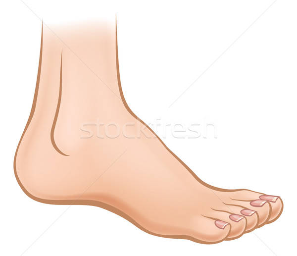 600x517 Cartoon Foot Vector Illustration Christos Georghiou