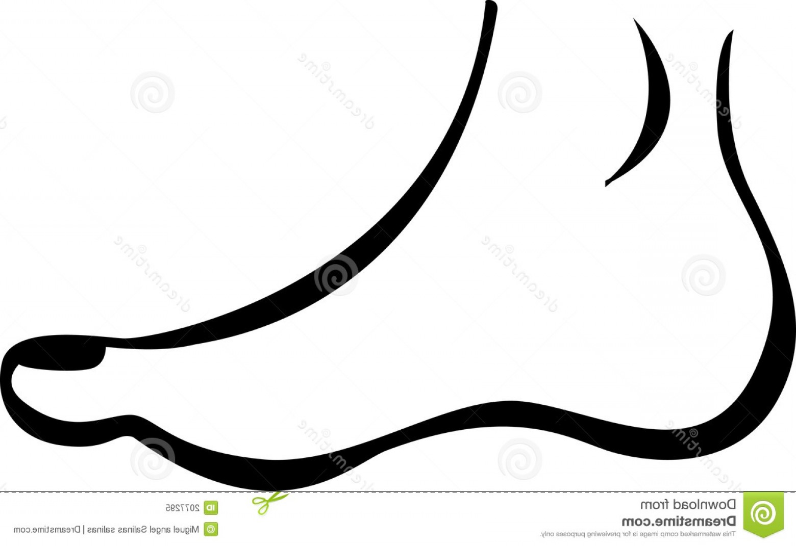 Feet Vector Art Geekchicpro 1560x1071 Feet Vector Art Geekchicpro