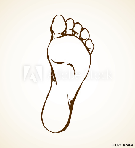 Foot Vector Drawing 456x500 Foot Vector Drawing