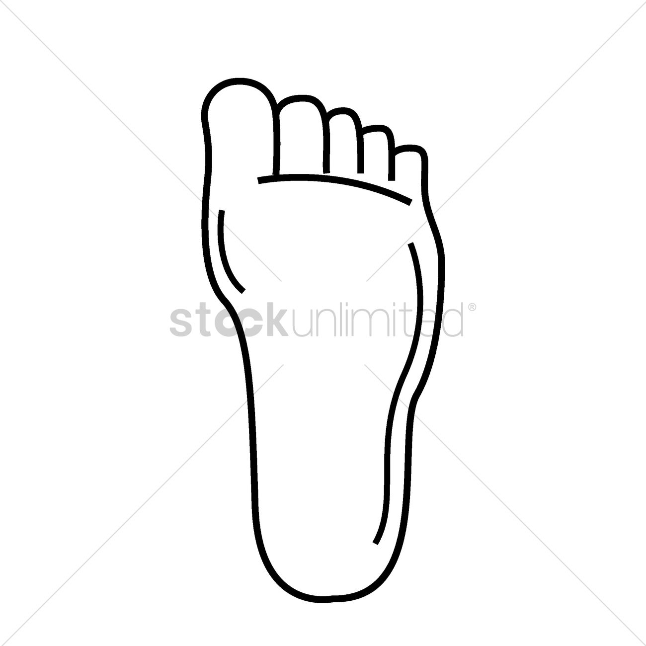 Human Foot Vector Image 1300x1300 Human Foot Vector Image