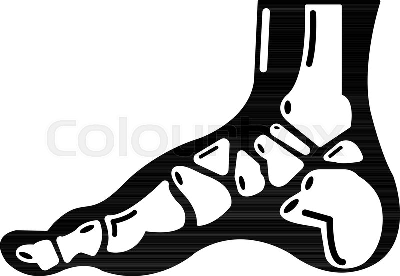 Xray Of Foot Icon Simple Illustration Stock Vector Colourbox 800x552 Xray Of Foot Icon Simple Illustration Stock Vector Colourbox