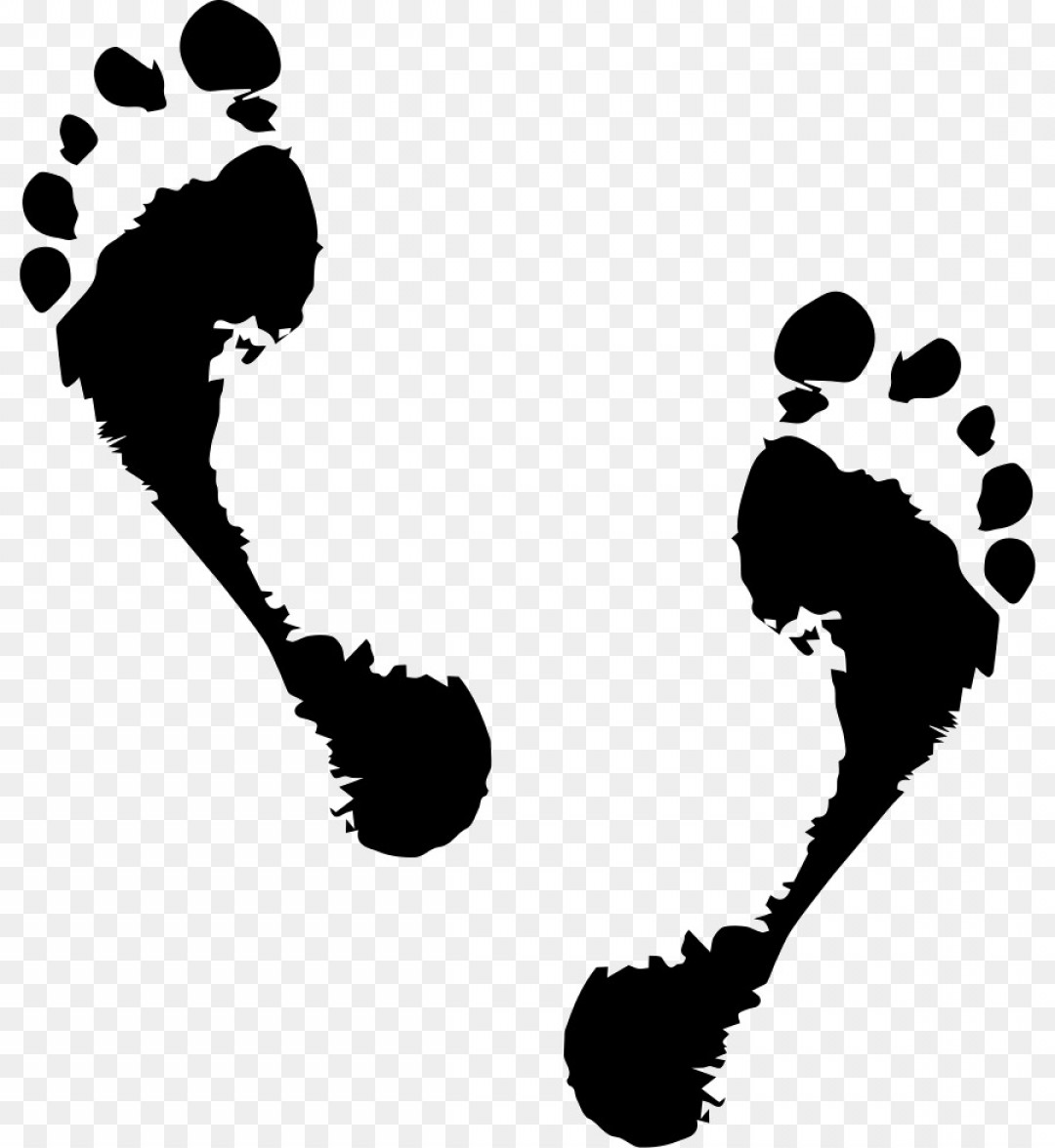 1080x1176 Foot Vector Graphics Hoodamathrun