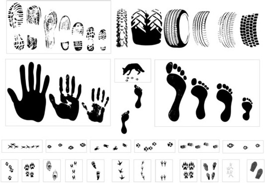 532x368 Footprint Free Vector Download