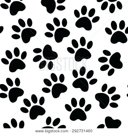 450x470 Footprint Pattern