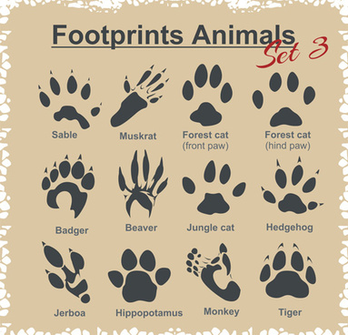 383x368 Footprint Free Vector Download