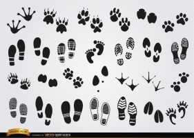 281x200 Baby Footprints Vector Free Vector Graphic Art Free Download