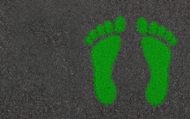 Carbon Footprint Vectors, Photos And Free Download 626x392 Carbon Footprint Vectors, Photos And Free Download