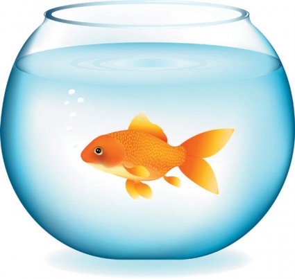 425x403 Goldfish Clipart