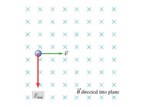 453x344 Mastering Physics Solutions Magnetic Force Vector Drawing