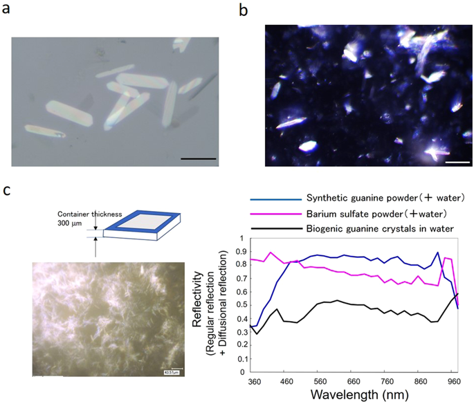 685x584 Floating Photonic Crystals Utilizing Magnetically Aligned Biogenic
