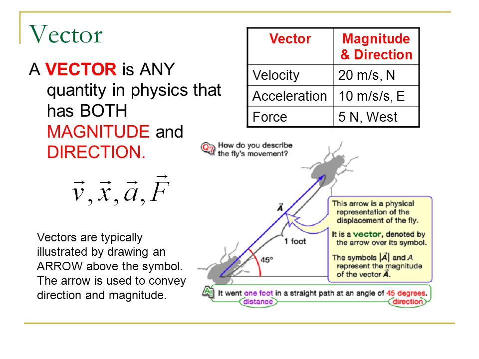 force-vector-symbol-at-vectorified-collection-of-force-vector