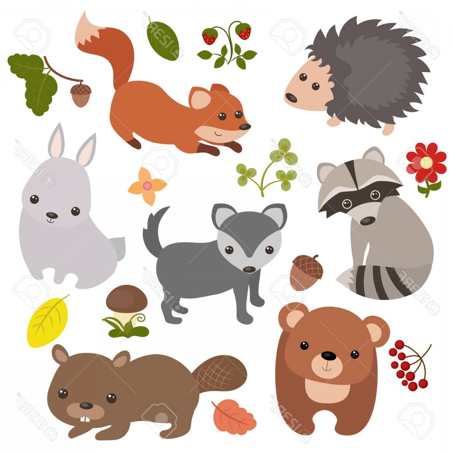 Forest Animals Vector at Vectorified.com | Collection of Forest Animals ...