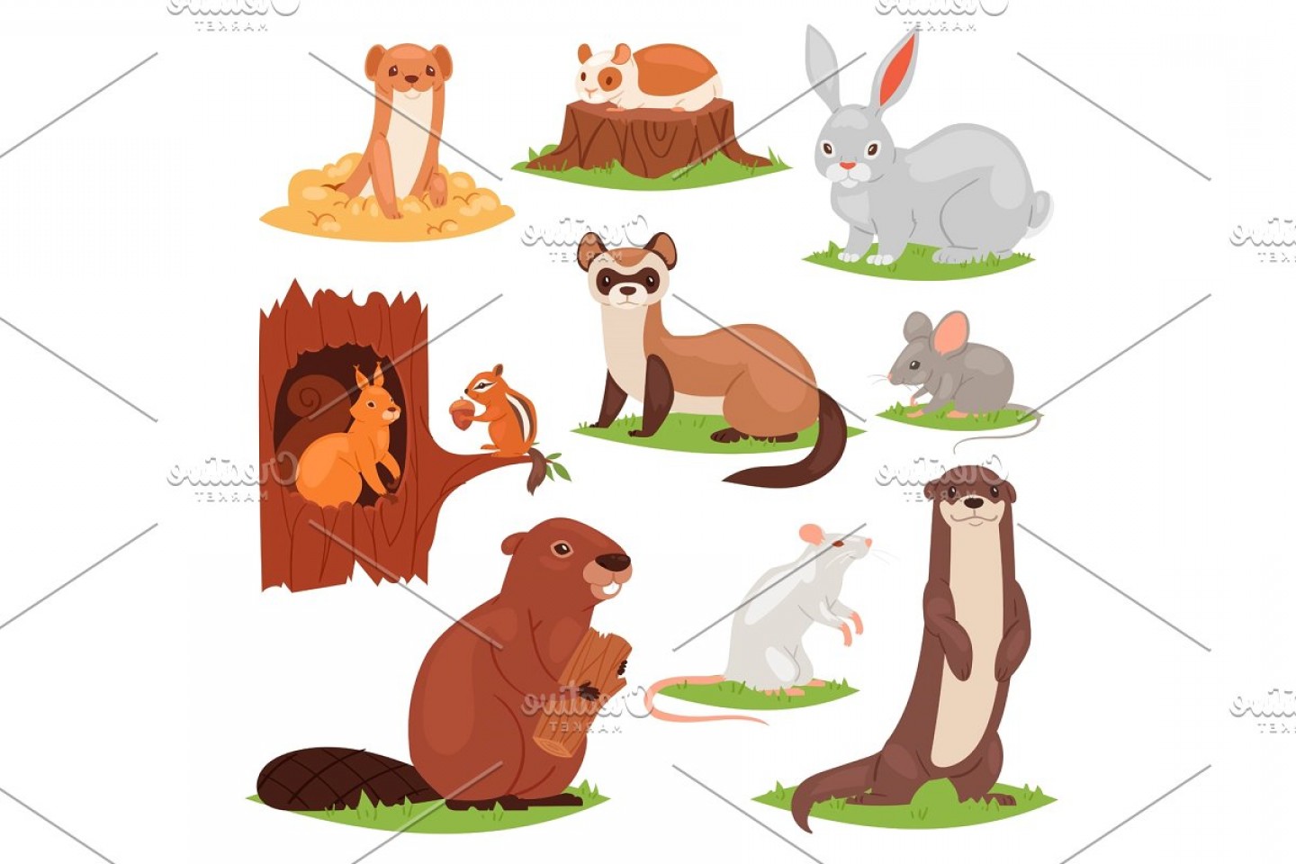 1440x960 Forest Animals Vector Cartoon Animalistic Characters Squirrel
