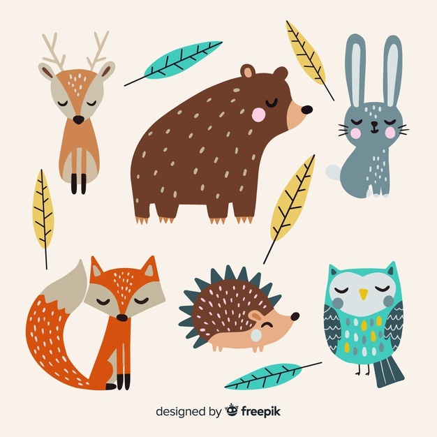 626x626 Forest Animals Vectors, Photos And Free Download