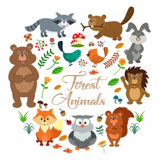 626x626 Forest Animals Collection Vector Free Download