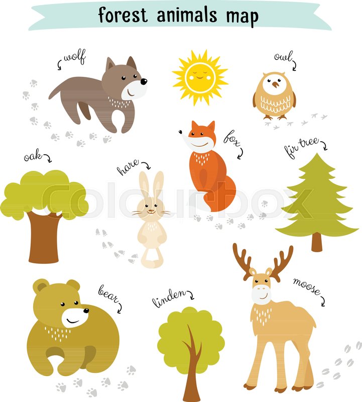 721x800 Forest Animals Vector Map With Trees Stock Vector Colourbox