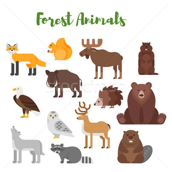 600x600 Vector Flat Style Set Of Forest Animals Vector Illustration